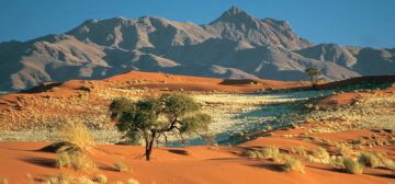 Jane and Peter Little