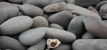 Havel Meyer & family