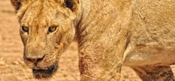 Tom & Lucy Kilroy + 3 children