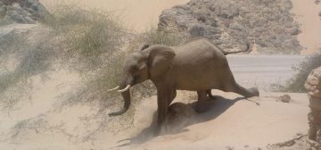 John and Lesley Hampshire