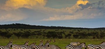 Serengeti Western Corridor