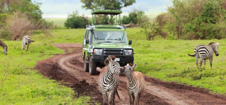 Explore Tanzania