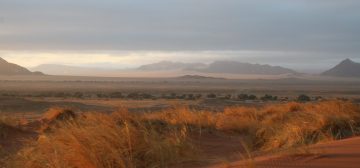 Kleinberg and Hornsby Group